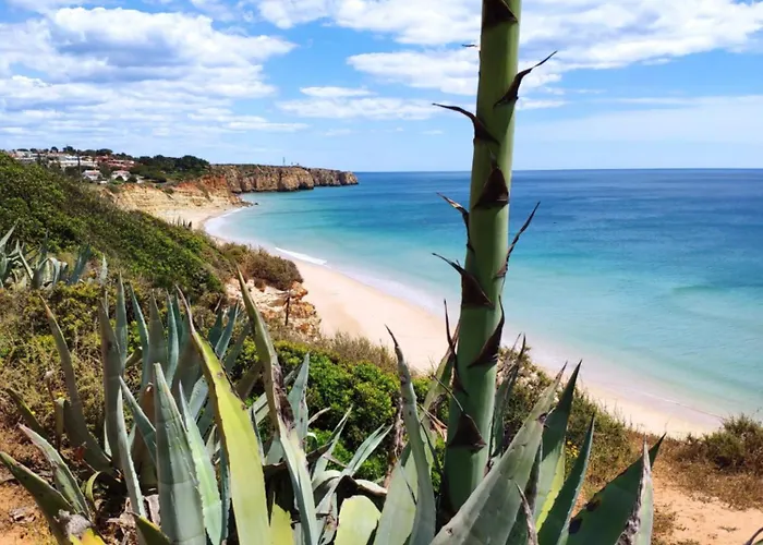 And Cozy Townhouse 펜션 알보르